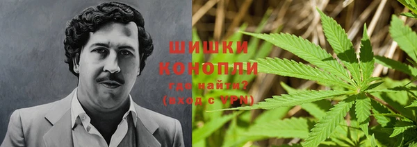шишки Новозыбков