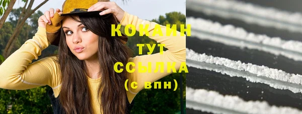 шишки Новозыбков