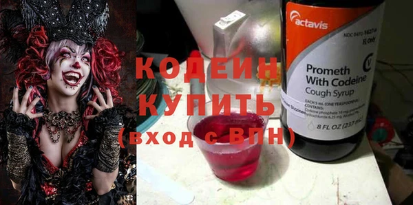 шишки Новозыбков