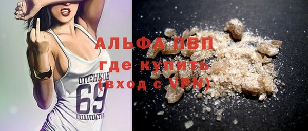 шишки Новозыбков