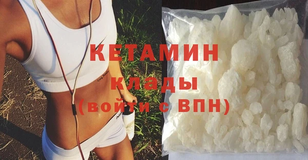 шишки Новозыбков