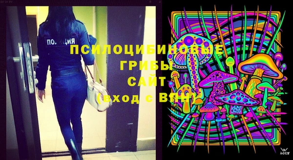 шишки Новозыбков
