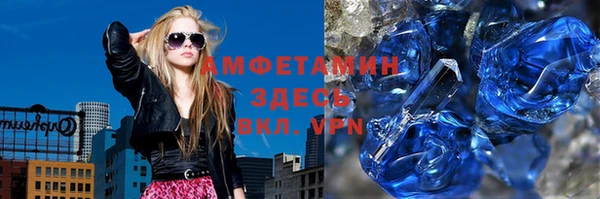 шишки Новозыбков