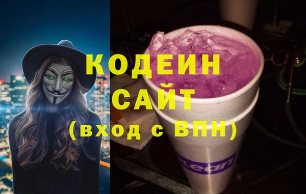 шишки Новозыбков