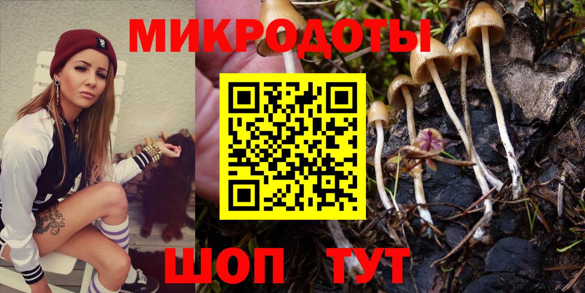 Кольчугино  Галлюциногенные грибы MAGIC MUSHROOMS  Вход с VPN  Галлюциногенные грибы MAGIC MUSHROOMS 